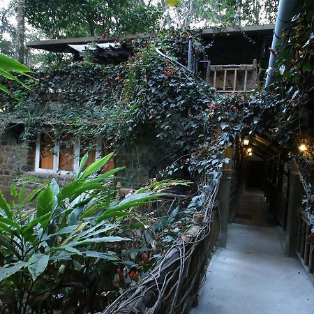 Greenspaces B&B Munnar Eksteriør bilde