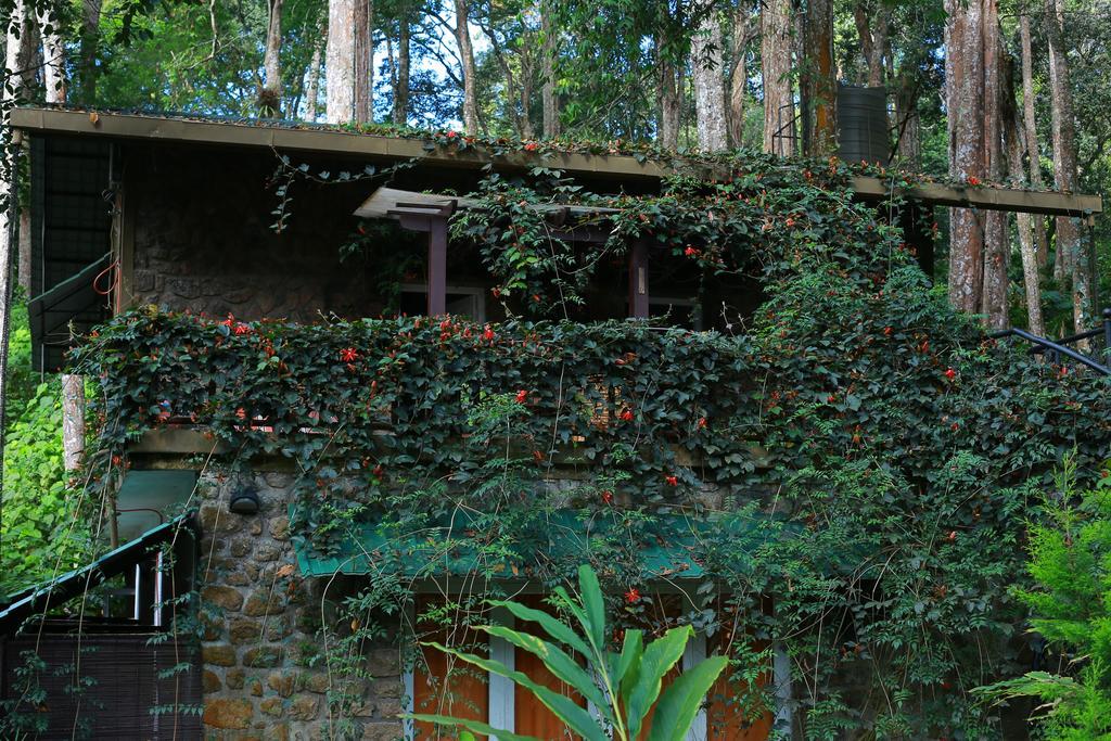 Greenspaces B&B Munnar Eksteriør bilde