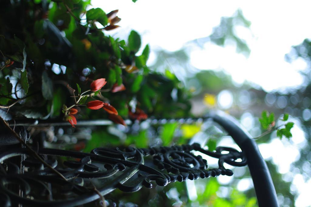 Greenspaces B&B Munnar Eksteriør bilde