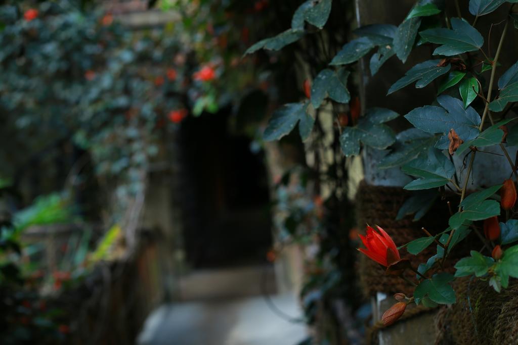 Greenspaces B&B Munnar Eksteriør bilde