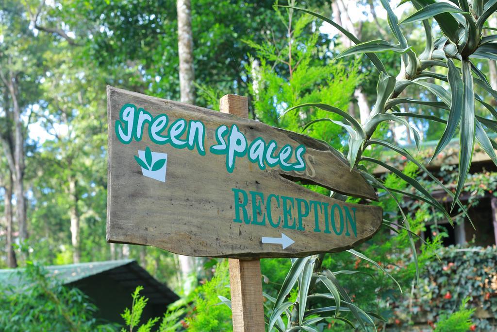 Greenspaces B&B Munnar Eksteriør bilde