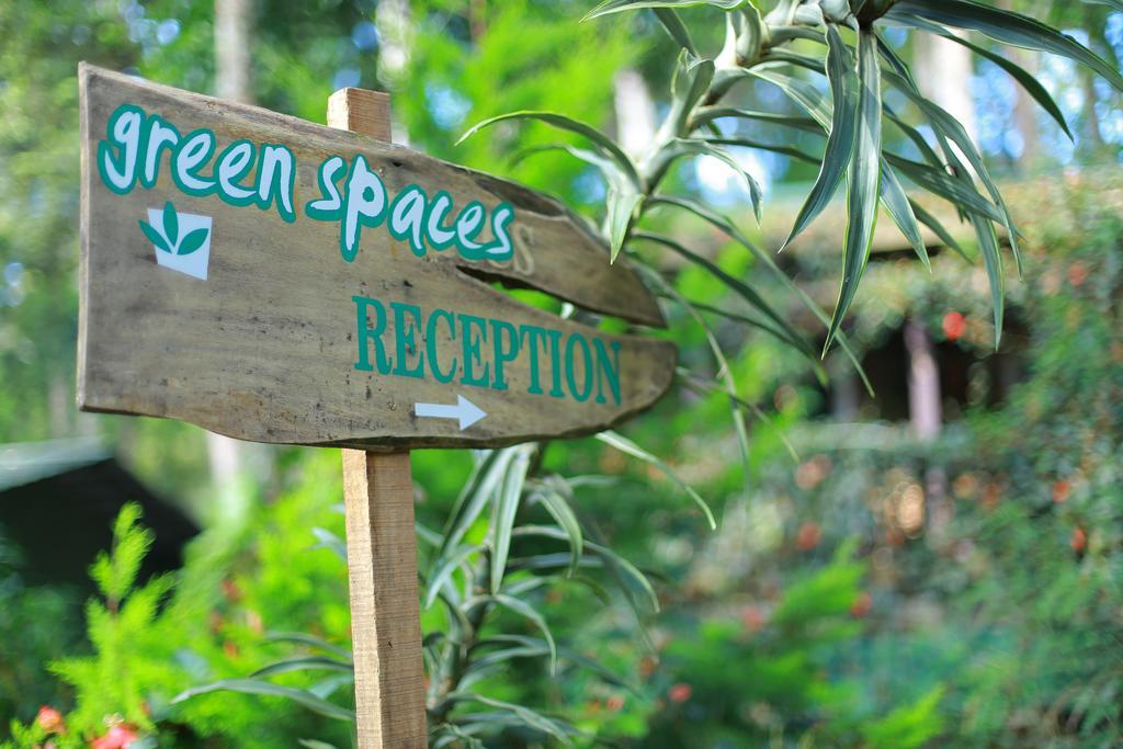 Greenspaces B&B Munnar Eksteriør bilde