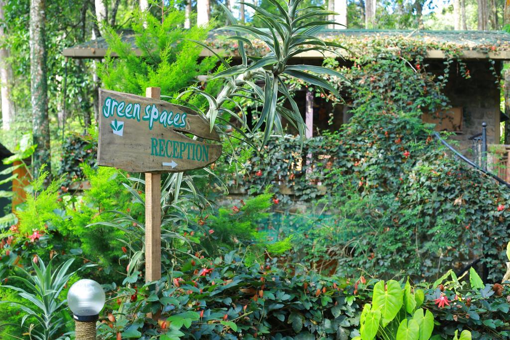 Greenspaces B&B Munnar Eksteriør bilde