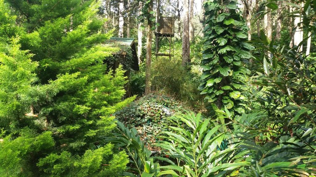 Greenspaces B&B Munnar Eksteriør bilde