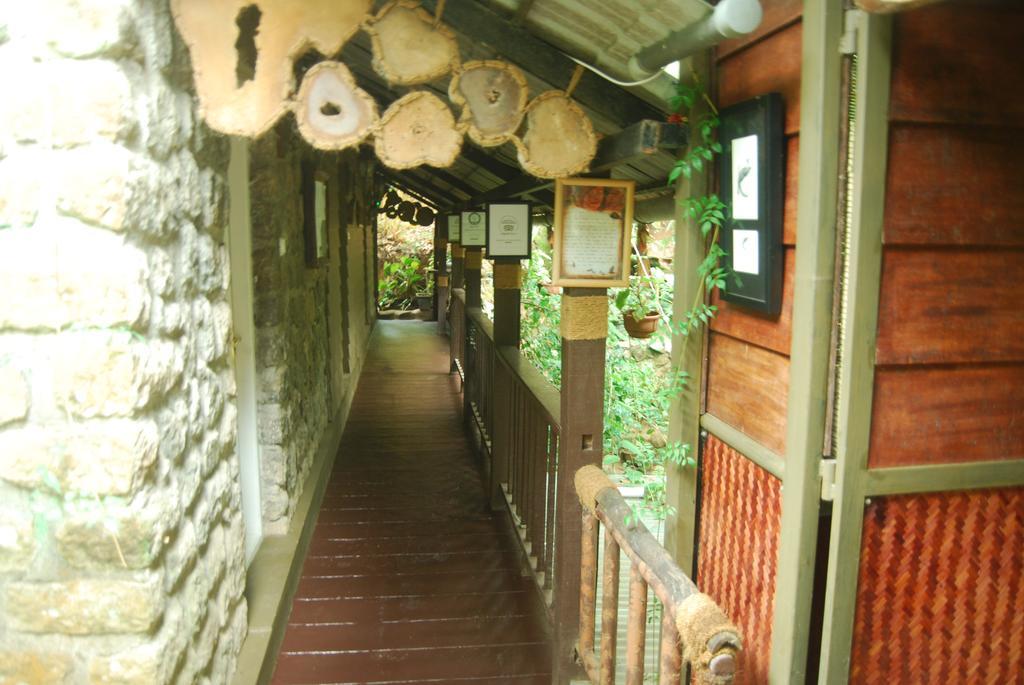 Greenspaces B&B Munnar Eksteriør bilde