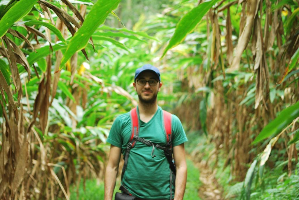Greenspaces B&B Munnar Eksteriør bilde