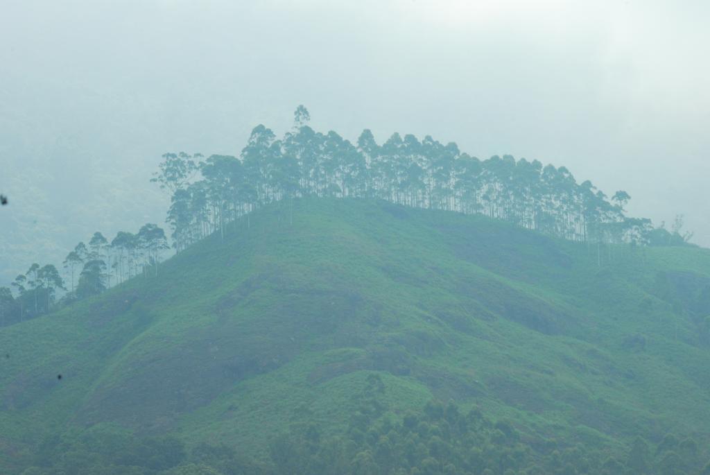 Greenspaces B&B Munnar Eksteriør bilde