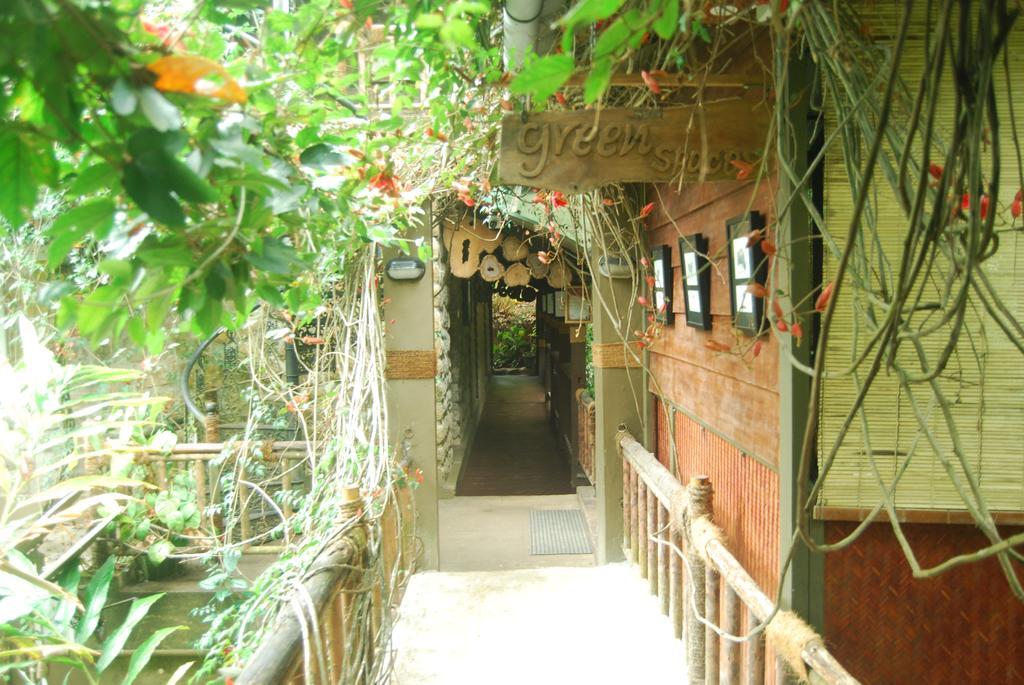 Greenspaces B&B Munnar Eksteriør bilde