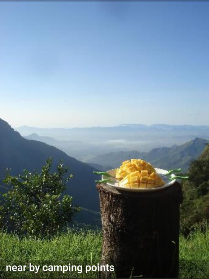 Greenspaces B&B Munnar Eksteriør bilde