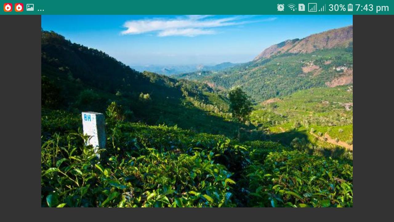 Greenspaces B&B Munnar Eksteriør bilde