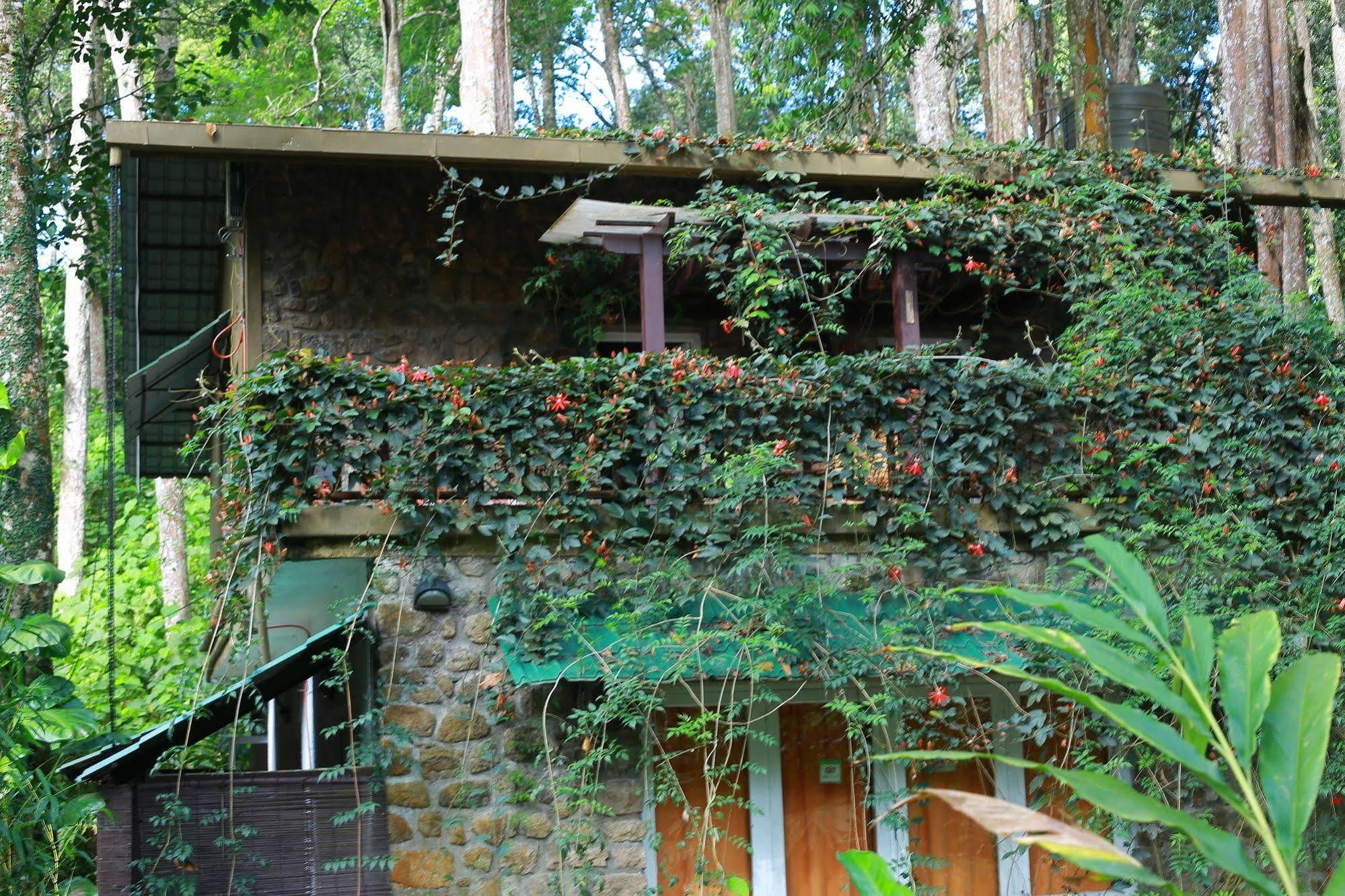 Greenspaces B&B Munnar Eksteriør bilde